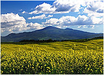 Monte Amiata
