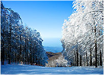 Monte Amiata