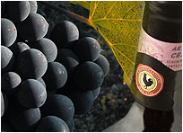 Chianti Gallo Nero
