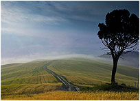 Crete Senesi