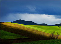 Crete Senesi