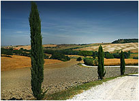 Crete Senesi