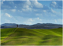 Crete Senesi