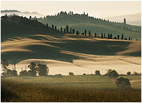 Crete Senesi