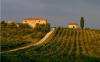 FATTORIA DI MONACIANO