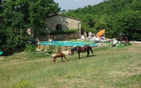 Azienda Agricola Podere Tremulini