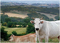 Val di Chiana