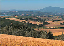 Val di Chiana